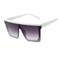 Alicia Sunglasses - Tha Shade Sunglasses